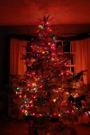 2012_Christmas_Tree