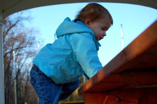 Climbing Bean 2010.jpg