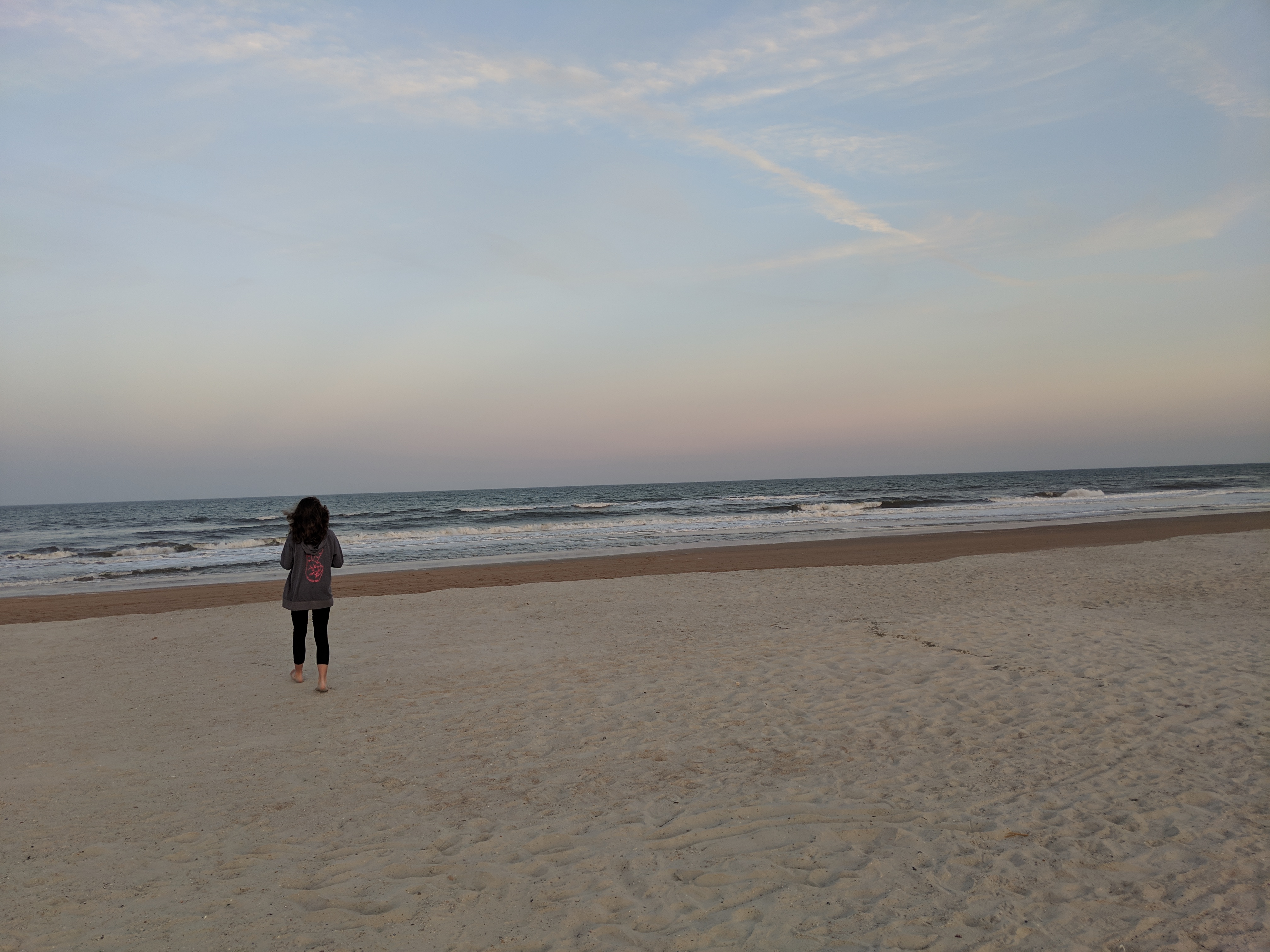 The Bean walking on the beach at dusk.