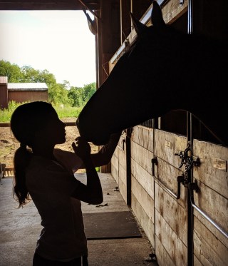 The Bean at the barn.