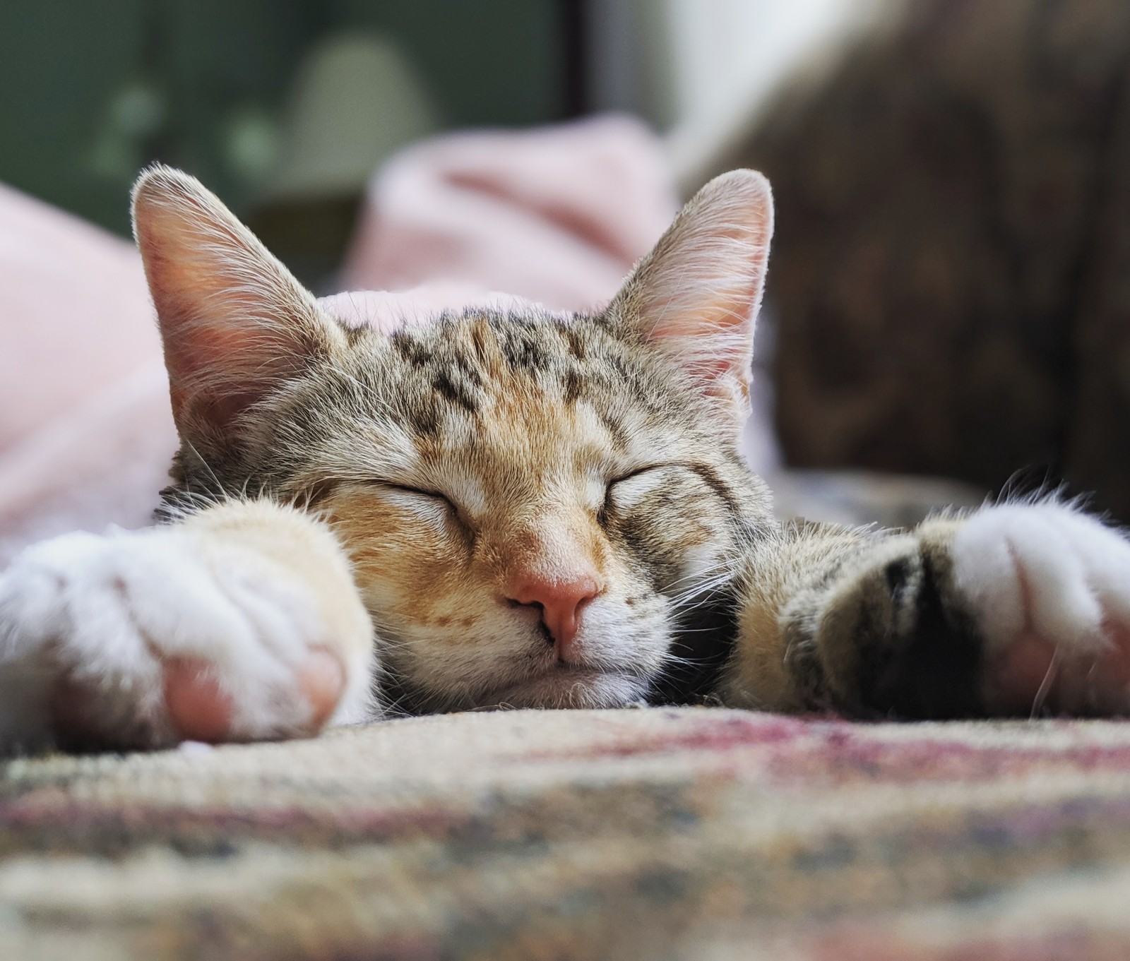 IMG_20190723_113107_061