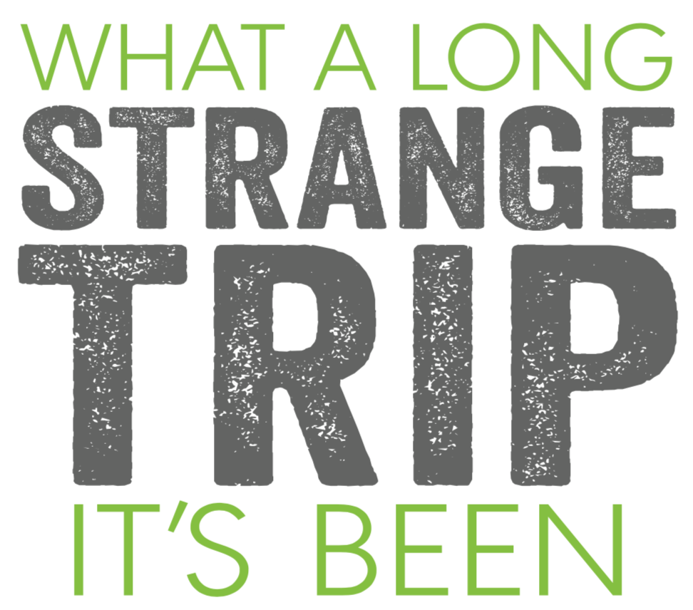 Green and grey text on a white background saying: what a long strange trip it's been.
